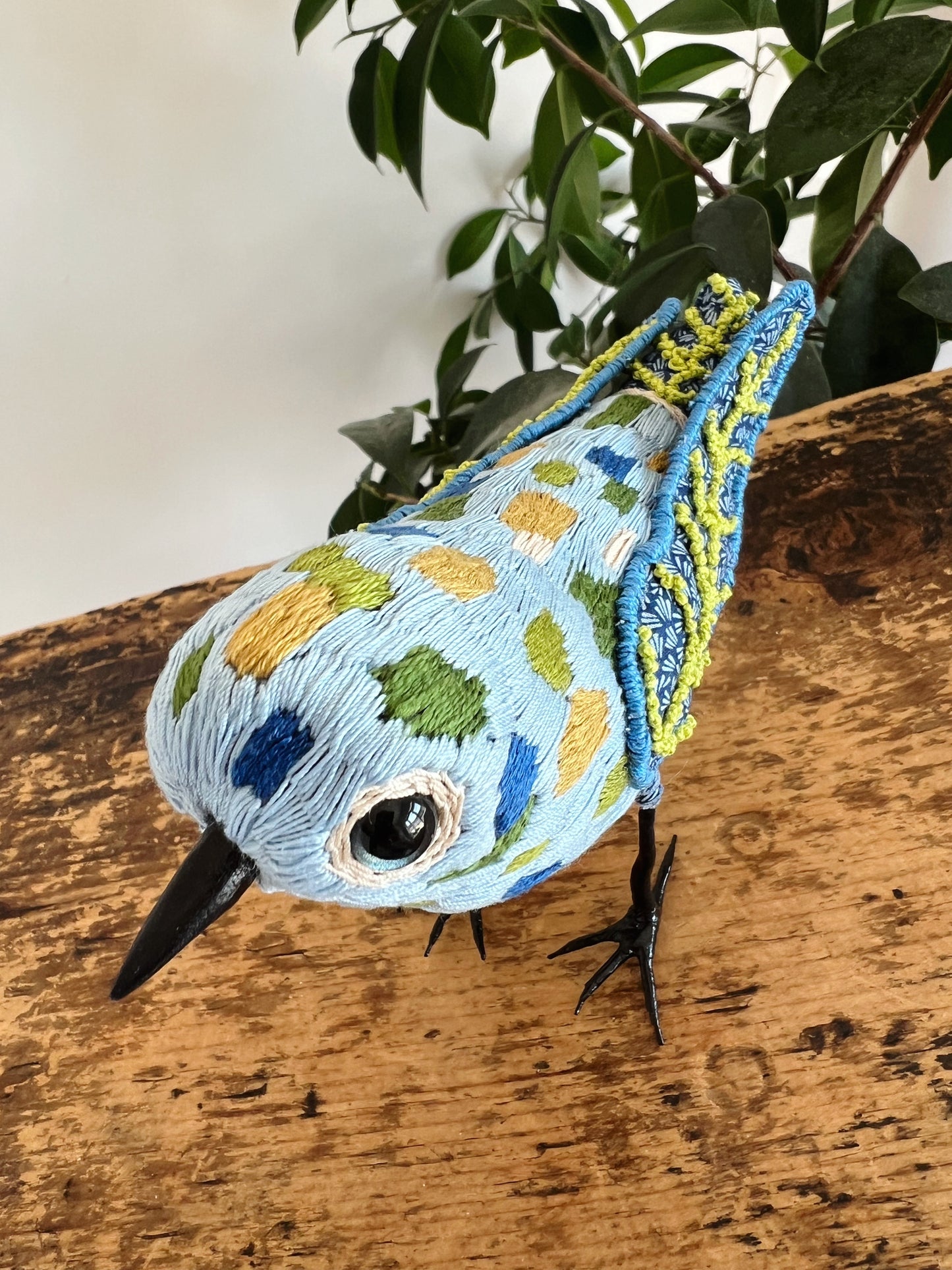 Calico Bluebird