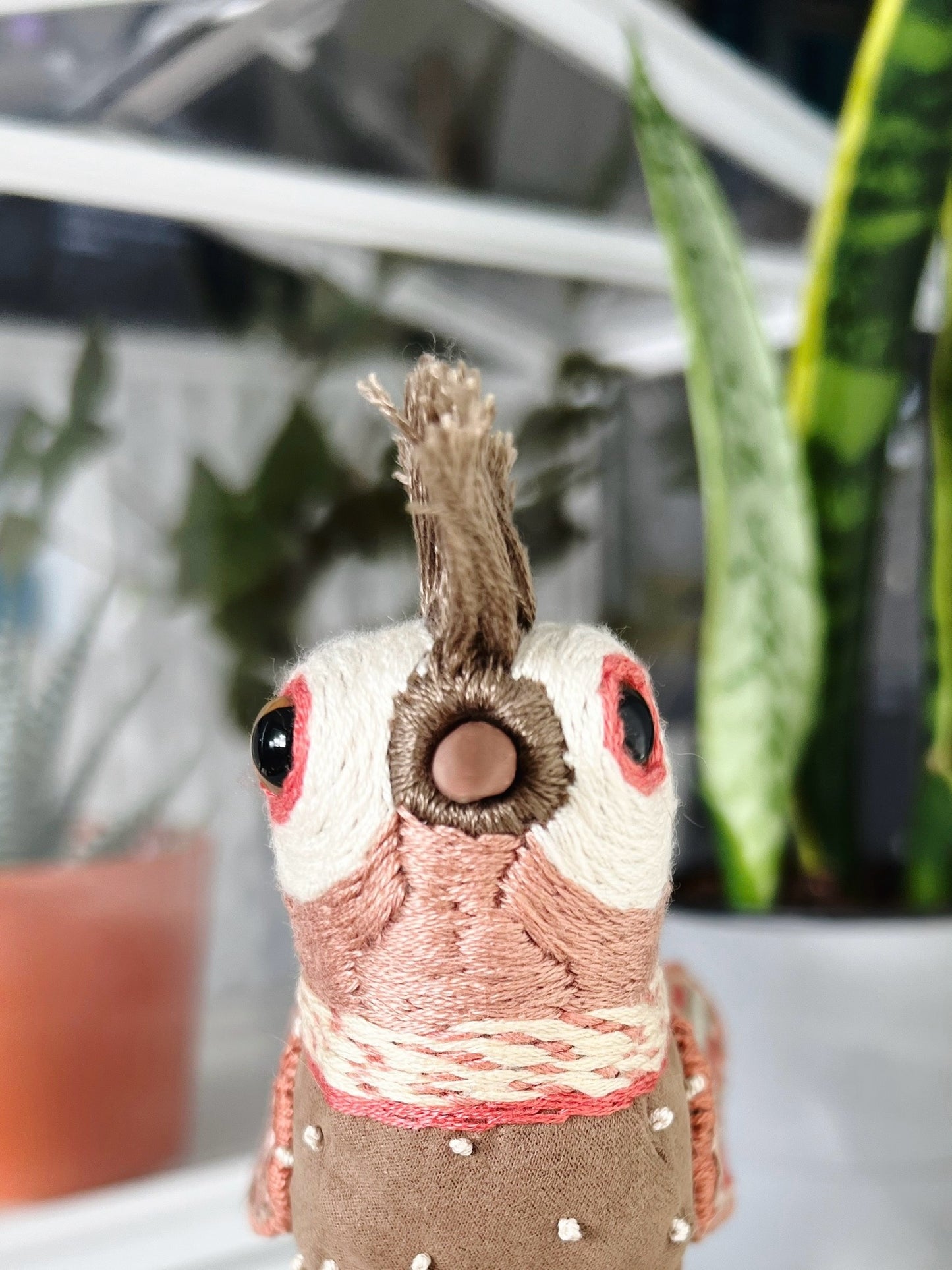 Boggled-Eyed Punk