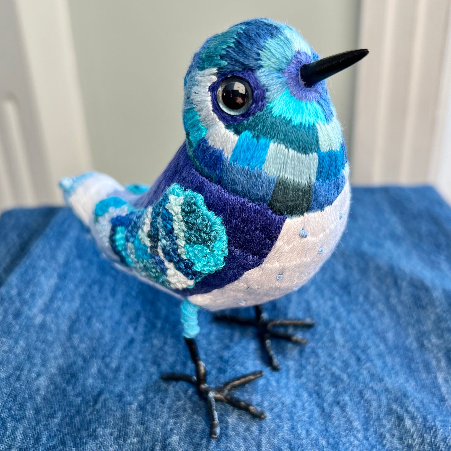 Blue-Jean Jay