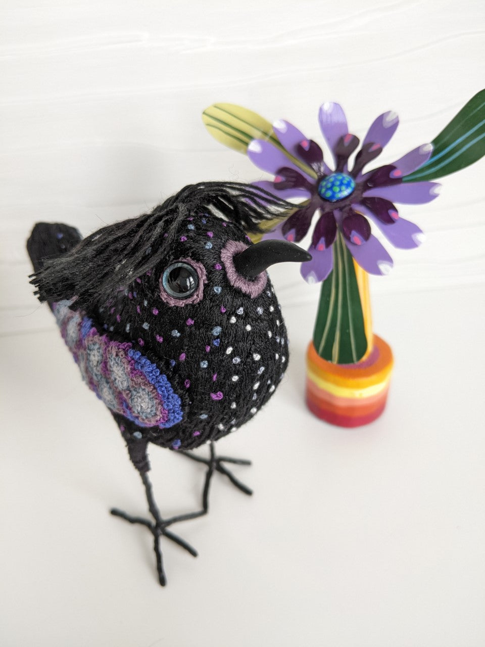 Blue-Eyed Dottie Bird